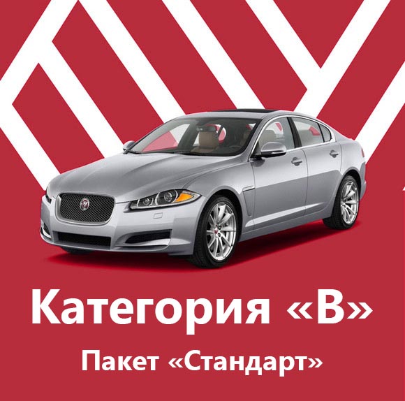 Категория &laquo;B&raquo; Пакет &laquo;Стандарт&raquo; - фото